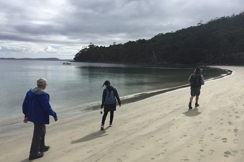Small-Group Day Trip From Hobart To Bruny Island - Kawana Tourism 1