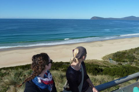 Small-Group Day Trip From Hobart To Bruny Island - Kawana Tourism 3