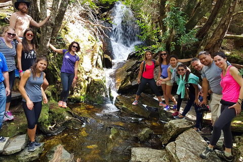 7-Day Super Value Tour Of Tasmania: Explore Tasmania's West And East Coasts - Kawana Tourism 2