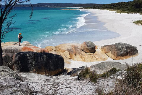 2-Day Tas East Coast Escape Tour Including Bay Of Fires, Wineglass Bay & Devils - Kawana Tourism 4
