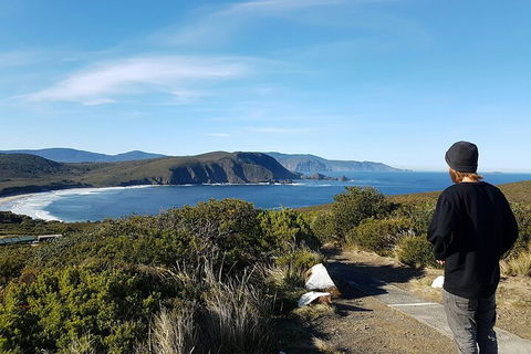 4-Day Fabulous Tasmania Tour: Wineglass Bay, Port Arthur, Devils & Bruny Island - Kawana Tourism 0
