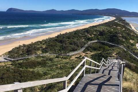 4-Day Fabulous Tasmania Tour: Wineglass Bay, Port Arthur, Devils & Bruny Island - Kawana Tourism 5