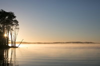 Serenity Cruise to Australia's Everglades, Noosa