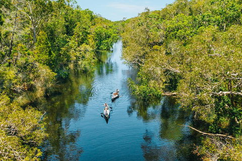 Cruise 'n' Canoe To Australia's Everglades - Kawana Tourism 3