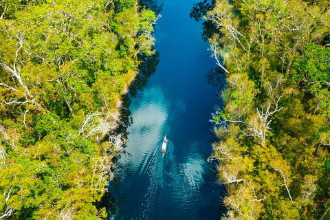Cruise 'n' Canoe To Australia's Everglades - Kawana Tourism 4