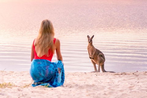 Cruise 'n' Canoe To Australia's Everglades - Kawana Tourism 5