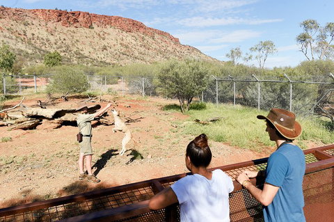 Alice Springs Desert Park General Entry Ticket - Kawana Tourism 4