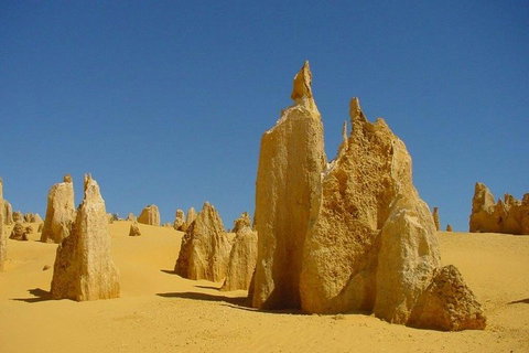 Half Day Pinnacles Sunset Tour - Kawana Tourism 2