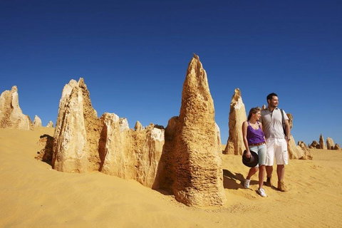 Half Day Pinnacles Sunset Tour - Kawana Tourism 4