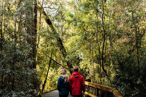 Gordon River Cruise Departing From Strahan - Kawana Tourism 2