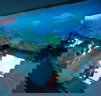 Great Barrier Reef Day Cruise to Reefworld - Kawana Tourism