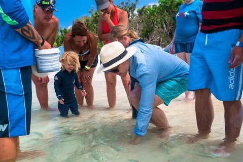 Whitehaven Beach And Hamilton Island Cruise - Kawana Tourism 1