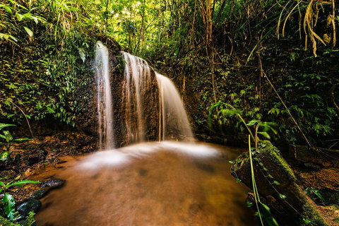 Paronella Park Admission Ticket - Kawana Tourism 5