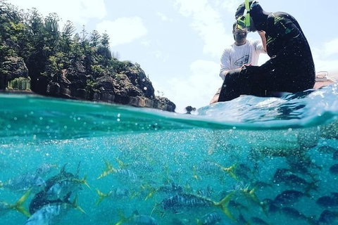 2 Night Small Group Whitsundays Sailing Adventure Aboard Mandrake - Kawana Tourism 5