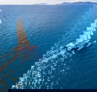 2-Night Whitsunday Islands Sailing Adventure on Trimaran Avatar - Kawana Tourism