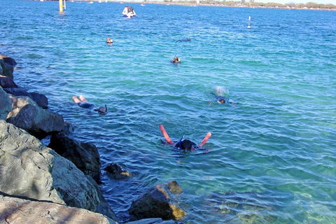 Wave Break Island Scuba Diving On The Gold Coast - Kawana Tourism 1