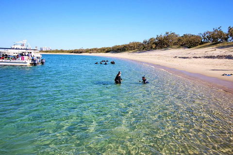 Wave Break Island Scuba Diving On The Gold Coast - Kawana Tourism 4