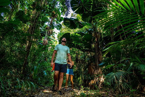 Full Day Daintree Rainforest And Mossman Gorge Tour - Kawana Tourism 0