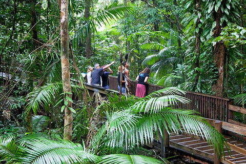 Full Day Daintree Rainforest And Mossman Gorge Tour - Kawana Tourism 1