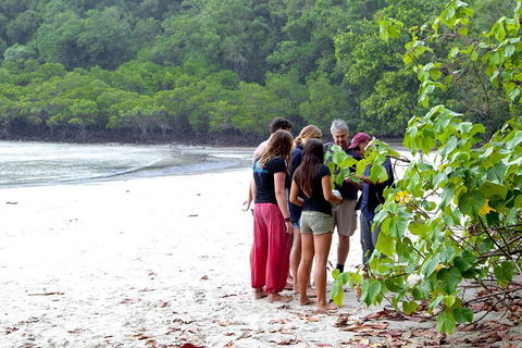 Full Day Daintree Rainforest And Mossman Gorge Tour - Kawana Tourism 2