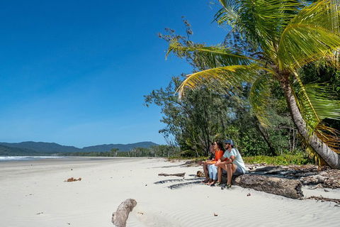 Full Day Daintree Rainforest And Mossman Gorge Tour - Kawana Tourism 4