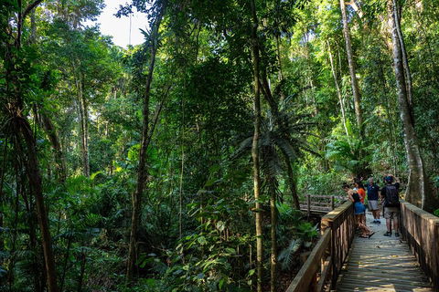 Full Day Daintree Rainforest And Mossman Gorge Tour - Kawana Tourism 5