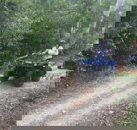 Cairns ATV Adventure Tour and Morning Train - Kawana Tourism