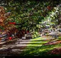 Fully Inclusive Blue Mountains Private Tour inc Scenic World  Featherdale entry - Kawana Tourism