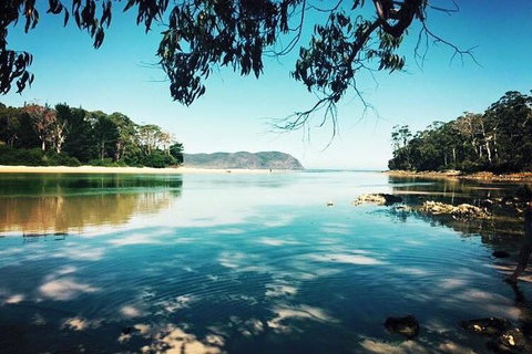 Full-Day Guided Bruny Island Tour From Hobart - Kawana Tourism 1