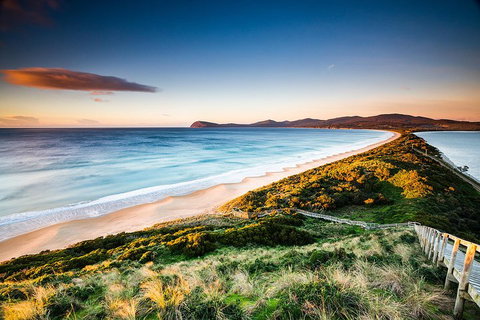 Full-Day Guided Bruny Island Tour From Hobart - Kawana Tourism 2