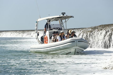 Cygnet Bay Explorer - Kawana Tourism 2