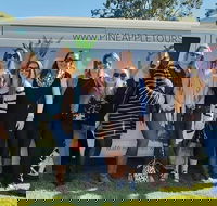 Full Day Mount Tamborine Winery Tour from Gold Coast - Kawana Tourism