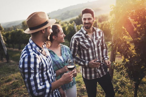 Full Day Mount Tamborine Winery Tour From Gold Coast - Kawana Tourism 5