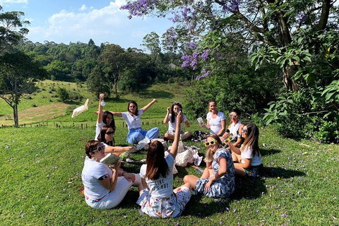 Full Day Mount Tamborine Winery Tour From Brisbane - Kawana Tourism 4