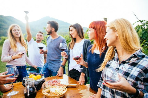 Full Day Mount Tamborine Winery Tour From Brisbane - Kawana Tourism 5