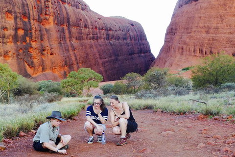 Afternoon Kata Tjuta Small Group Tour - Kawana Tourism 2
