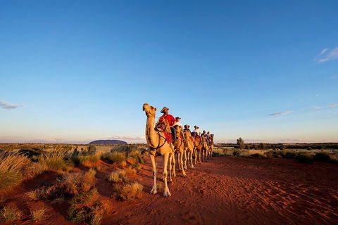 Uluru Small-Group Tour By Camel At Sunrise Or Sunset - Kawana Tourism 3
