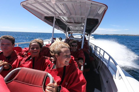 Adventure Rottnest Tour With Ferry & Adventure Cruise From Perth Or Fremantle - Kawana Tourism 0
