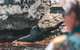 Adventure Rottnest Tour With Ferry & Adventure Cruise From Perth Or Fremantle - thumb 1