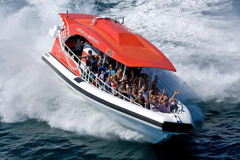 Adventure Rottnest Tour With Ferry & Adventure Cruise From Perth Or Fremantle - Kawana Tourism 2