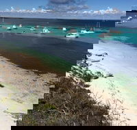 Experience Rottnest with Ferry  Bike Hire from Perth or Fremantle - Kawana Tourism