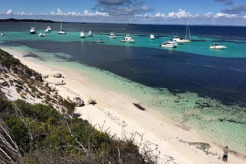 Experience Rottnest With Ferry & Bike Hire From Perth Or Fremantle - Kawana Tourism 0