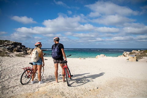 Experience Rottnest With Ferry & Bike Hire From Perth Or Fremantle - Kawana Tourism 5