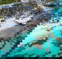 Rottnest Island Round-Trip Ferry from Perth or Fremantle - Kawana Tourism