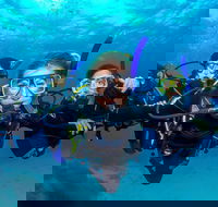 Great Barrier Reef Diving and Snorkeling Cruise from Cairns - Kawana Tourism