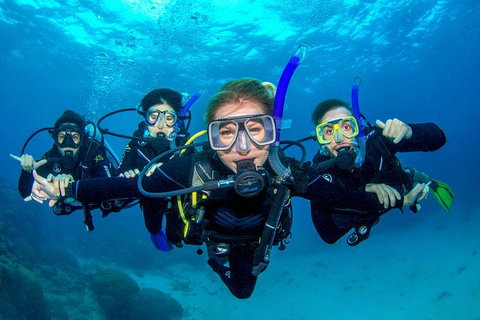 Great Barrier Reef Diving And Snorkeling Cruise From Cairns - Kawana Tourism 0