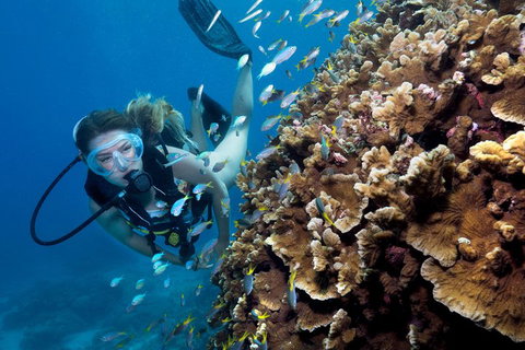 Great Barrier Reef Diving And Snorkeling Cruise From Cairns - Kawana Tourism 1