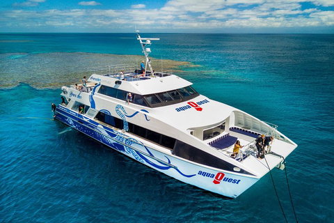 Great Barrier Reef Diving And Snorkeling Cruise From Cairns - Kawana Tourism 5