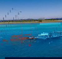 Ocean Free Green Island  Great Barrier Reef Snorkel Cruise Cairns 25 guests - Kawana Tourism