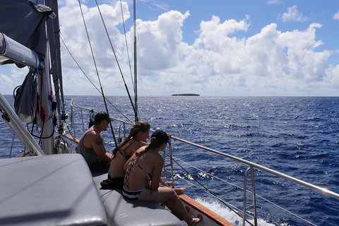 Ocean Free Green Island & Great Barrier Reef Snorkel Cruise, Cairns 25 Guests - Kawana Tourism 4